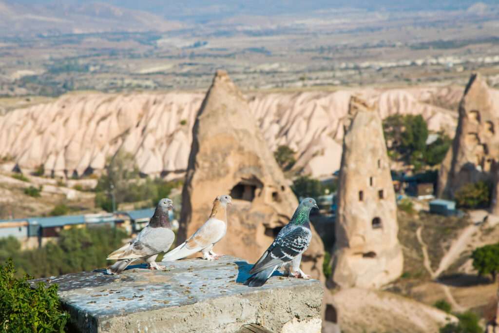 Unique formations and dovecotes in Love and Pigeon Valleys...